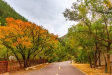우다오거우/오도구 관광단지 티켓 할인, 운영 시간, 후기 [2026년] | Trip.com