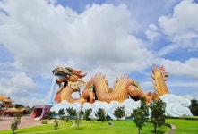 드래곤 파라다이스 파크 티켓 할인, 운영 시간, 후기 [2026년] | Trip.com