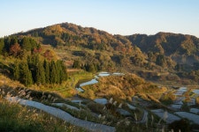 도카마치 호텔 추천, 인기 도카마치 숙소 예약 | 트립닷컴