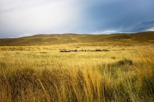 간자초원 티켓 할인, 운영 시간, 후기 [2026년] | Trip.com