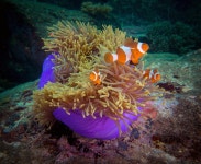 둔군 호텔 추천, 인기 둔군 숙소 예약 | 트립닷컴