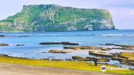 광치기해변 티켓 할인, 운영 시간, 후기 [2026년] | Trip.com