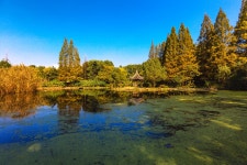 바이마공원/백마공원 티켓 할인, 운영 시간, 후기 [2026년] | Trip.com