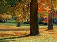 웨스트밴쿠버 관광지 (2025년 업데이트) | Trip.com 추천