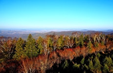 펑/선봉 국립삼림공원 티켓 할인, 운영 시간, 후기 [2026년] | Trip.com
