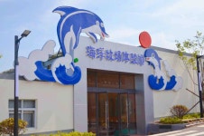 애런만 해양 목장 티켓 할인, 운영 시간, 후기 [2026년] | Trip.com