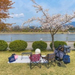 서울근교 숨은핫플 미사 경정공원 | 트립닷컴 경기도 트래블로그