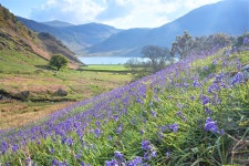 켄달 관광지 (2026년 업데이트) | Trip.com 추천