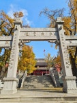 동웨 사원 (군산로) 티켓 할인, 운영 시간, 후기 [2026년] | Trip.com