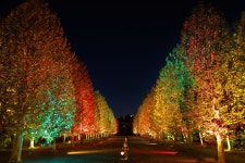 신주쿠 교엔 티켓 할인, 운영 시간, 후기 [2026년] | Trip.com