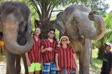 푸켓 엘리펀트 케어 파크 체험 티켓 할인, 운영 시간, 후기 [2026년] | Trip.com