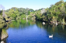 웨스턴 스프링스 공원 티켓 할인, 운영 시간, 후기 [2026년] | Trip.com