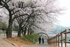 은파호수공원 티켓 할인, 운영 시간, 후기 [2026년] | Trip.com