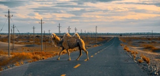 아라산좌기여행 (2024) - 인기 여행지, 추천 코스, 맛집 정보 | 트립닷컴