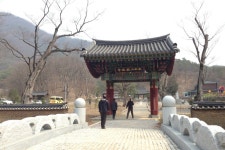 보덕사 티켓 할인, 운영 시간, 후기 [2026년] | Trip.com