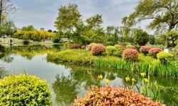 차이저우 몰 근처 호텔 추천, 신차이 2026 | 트립닷컴