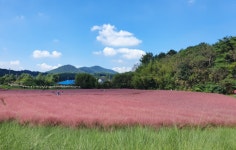 농업회사법인(주)약샘골누리농원 | 농업회사법인(주)고창청농원 티켓 할인, 운영 시간, 후기 [2026년] | Trip.com
