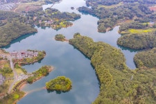 펑황후/봉황호수 관광단지 티켓 할인, 운영 시간, 후기 [2026년] | Trip.com