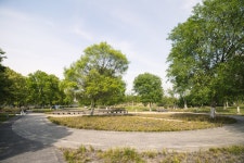 지기동래공원 티켓 할인, 운영 시간, 후기 [2026년] | Trip.com