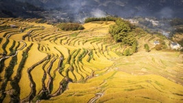 운하 계단식논 관광지 티켓 할인, 운영 시간, 후기 [2026년] | Trip.com