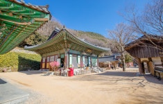 선암사입구 티켓 할인, 운영 시간, 후기 [2026년] | Trip.com