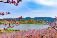 타오위안/도원 관광단지 티켓 할인, 운영 시간, 후기 [2026년] | Trip.com