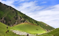 두란 수렵장 티켓 할인, 운영 시간, 후기 [2026년] | Trip.com