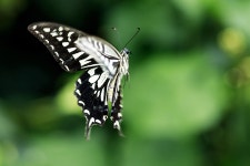 부평숲 인천나비공원 티켓 할인, 운영 시간, 후기 [2026년] | Trip.com