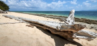 그린 아일랜드 여행 가이드(2025년): 인기 관광지, 교통, 날씨 등 (업데이트 날짜: 2025년 10월) | Trip.com