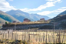 상무거촌 티켓 할인, 운영 시간, 후기 [2025년] | Trip.com