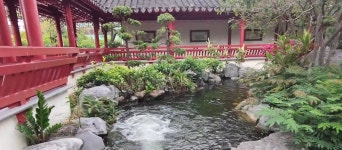 Dragon Park 티켓 할인, 운영 시간, 후기 [2026년] | Trip.com