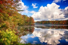 토비한나 컨저베이션 어소시에이션 티켓 할인, 운영 시간, 후기 [2026년] | Trip.com