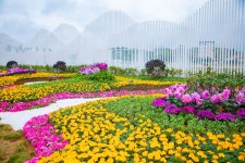 단펑구/단봉곡 티켓 할인, 운영 시간, 후기 [2025년] | Trip.com