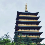 한국 경주 + 첨성대 + 경주 양동마을 + 경주랜드 일일 투어 | Trip.com