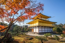 금각사 티켓 할인, 운영 시간, 후기 [2026년] | Trip.com