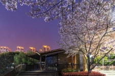 위산 공원 티켓 할인, 운영 시간, 후기 [2025년] | Trip.com