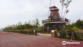 솔찬공원 티켓 할인, 운영 시간, 후기 [2026년] | Trip.com