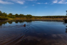 National Park Hoge Kempen 티켓 할인, 운영 시간, 후기 [2026년] | Trip.com