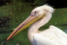 아리나르 안나 줄라지컬 파크 티켓 할인, 운영 시간, 후기 [2026년] | Trip.com