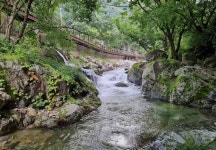 조무락계곡 티켓 할인, 운영 시간, 후기 [2026년] | Trip.com