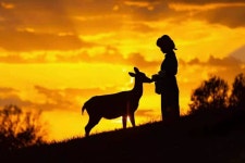 황실 사슴원 티켓 할인, 운영 시간, 후기 [2025년] | Trip.com