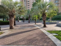 중앙 공원 (위슈 동로) 티켓 할인, 운영 시간, 후기 [2025년] | Trip.com