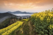 목리홍(무리홍) 티켓 할인, 운영 시간, 후기 [2026년] | Trip.com