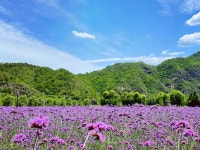 인화 풍경관 티켓 할인, 운영 시간, 후기 [2026년] | Trip.com