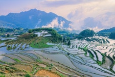 운하 계단식논 관광지 티켓 할인, 운영 시간, 후기 [2026년] | Trip.com