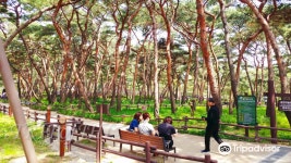 솔밭근린공원 티켓 할인, 운영 시간, 후기 [2026년] | Trip.com