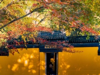 천평산(톈핑산) 티켓 할인, 운영 시간, 후기 [2026년] | Trip.com