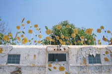 환경재생조형박물관 티켓 할인, 운영 시간, 후기 [2026년] | Trip.com