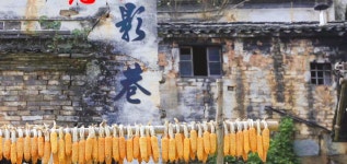 신안장 자유여행 가이드 2026년: 인기 명소, 맛집, 여행 코스 총정리 | 트립닷컴 | 2026년 2월