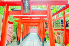 산코이나리 신사 티켓 할인, 운영 시간, 후기 [2026년] | Trip.com